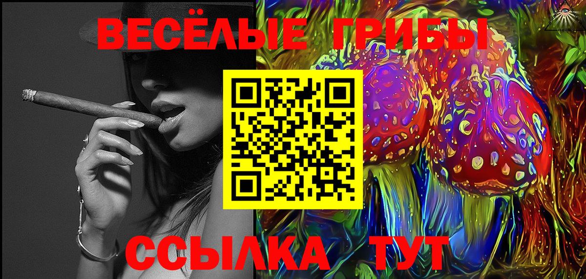 Елабуга  Галлюциногенные грибы прущие грибы  цены наркотик  Псилоцибиновые грибы мицелий  Вход с VPN 